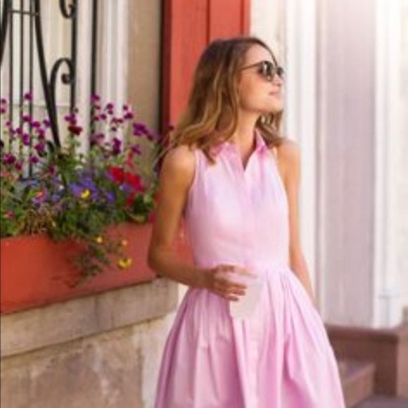 Ann Taylor Dresses & Skirts - Ann Taylor Pink Sleeveless Pleated Shirt Dress, 4